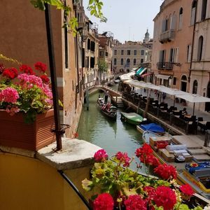 Meet your Posher, Donna